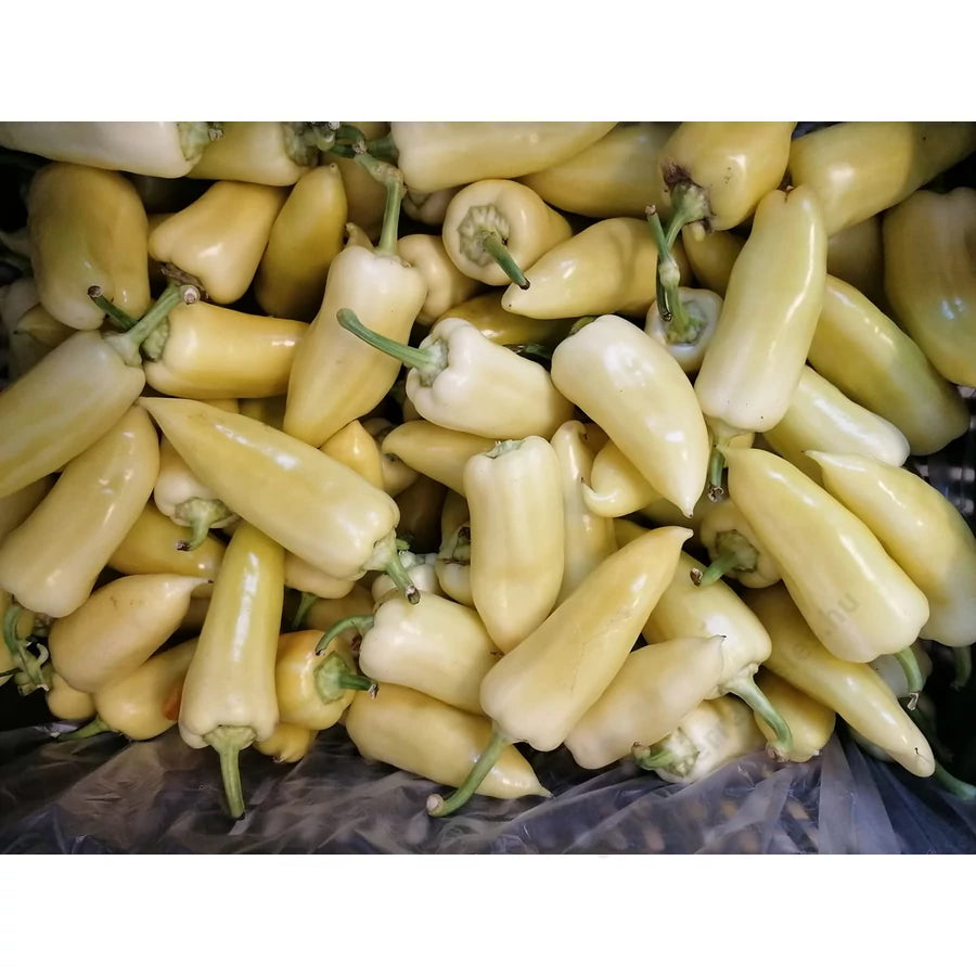 TV paprika I.o. extra